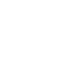 BITS skull logo